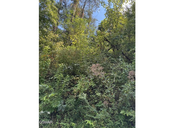 Progress Hill Boulevard, Pigeon Forge, TN 37863