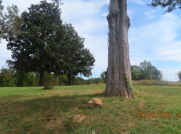 263 Saint John Road, Denmark, TN 38391