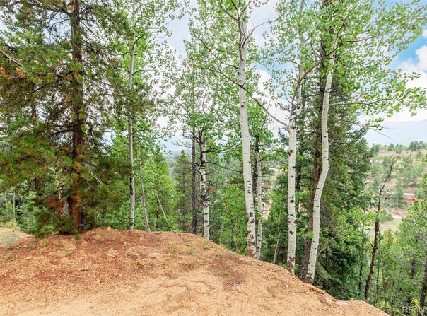 427 Wise Road, Bailey, CO 80421
