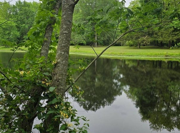 94 Farm Pond Rd, Broken Bow, OK 74728