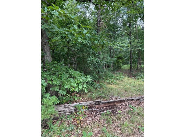 2830 tiger b Road, Drasco, AR 72530