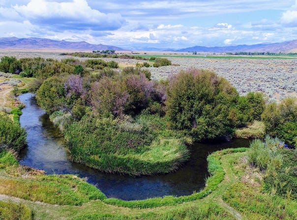 428 Cutoff Road, Picabo, ID 83348