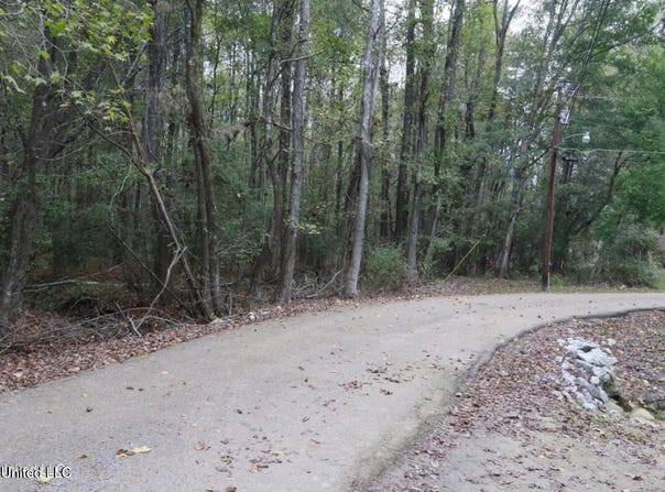 Westline Lots Drive, Madison, MS 39110
