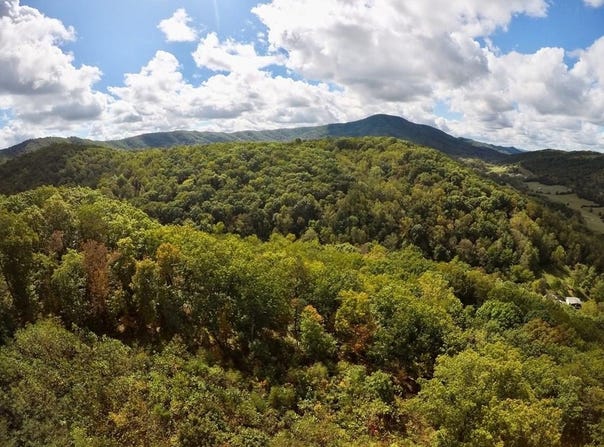 Hogan Hollow Rd lot: 85-91 And 91B, Troutville, VA 24145