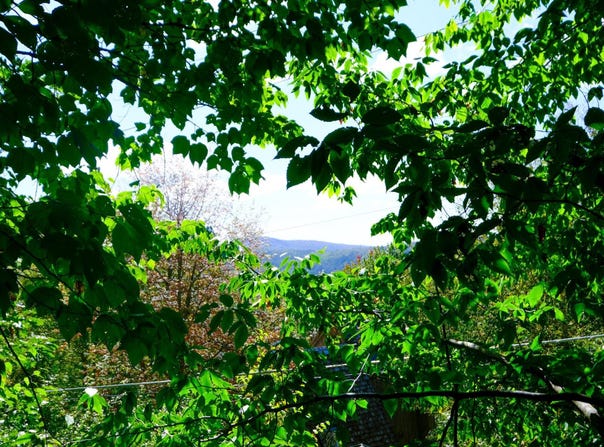 2-42 Coopers Trace lot: 2-42, Plymouth, VT 05056