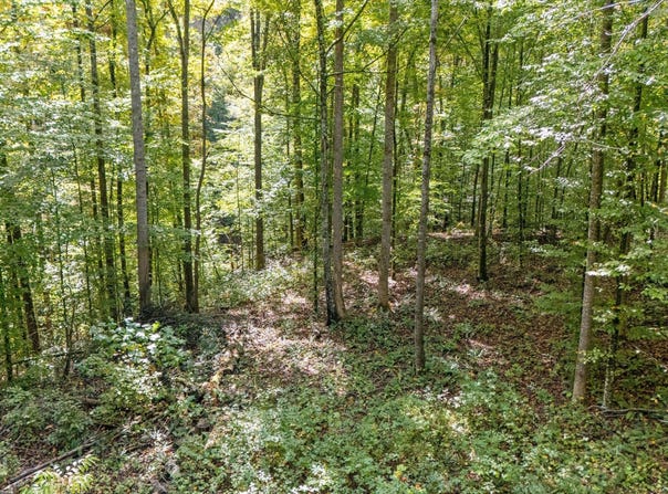 560 Prospect Rd, Luttrell, TN 37779