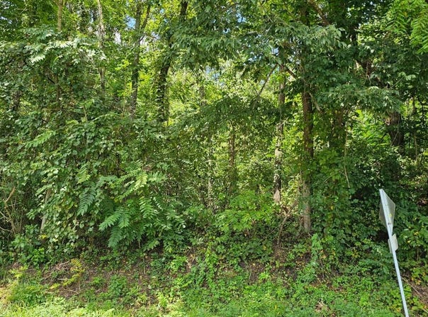 Green Spring Road, Abingdon, VA 24210