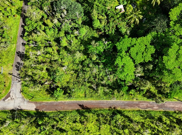 FOREST RD, Pahoa, HI 96778