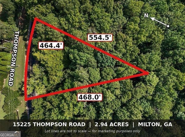 15225 Thompson Road, Milton, GA 30004