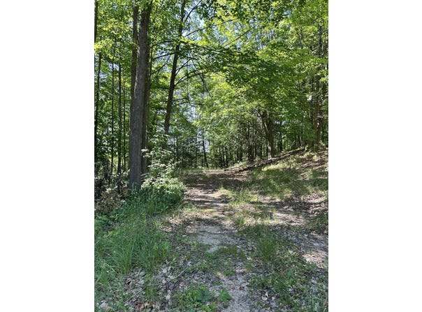 313 W Spruce Street E, Big Rapids, MI 49307