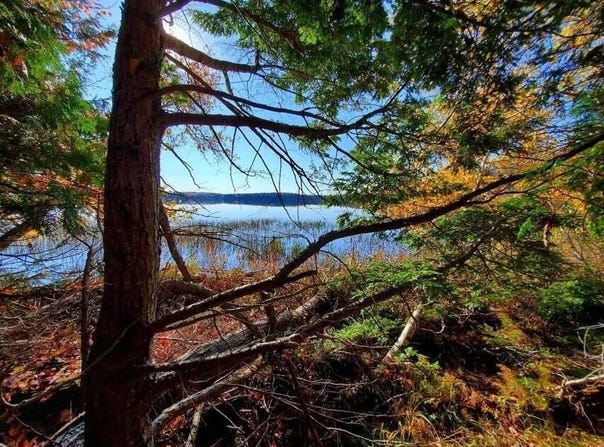 Blackcat Pt Drive, Princeton, ME 04668
