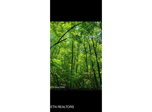 Watson Hollow Rd, Speedwell, TN 37870