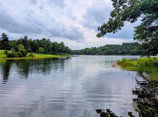 Striper Cove, Larue, TX 75770
