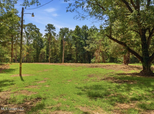 478 Potluck Road, Canton, MS 39046