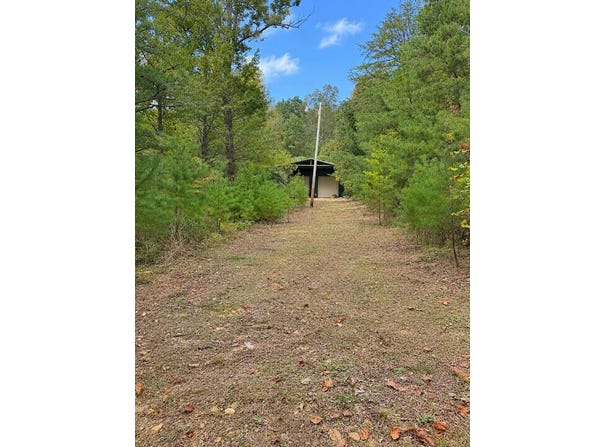 724 Mills Branch, Ashcamp, KY 41512