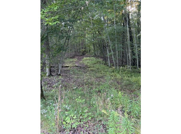 Route 346, Rew, PA 16701