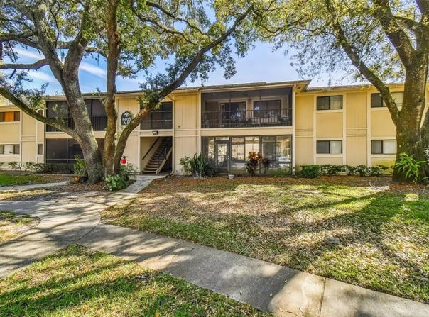 6015 LAKETREE LN, TEMPLE TERRACE, FL 33617