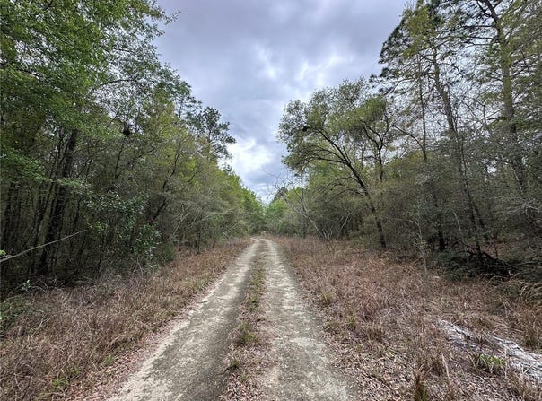 NE 154TH Avenue, WILLISTON, FL 32696