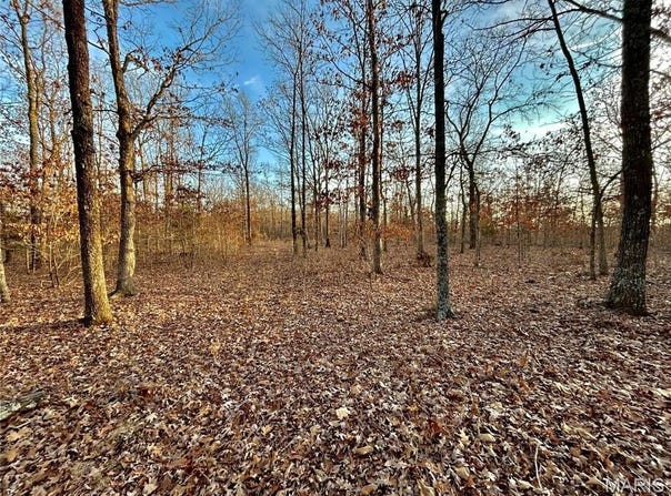 Tract 1 Highway CC, Salem, MO 65560