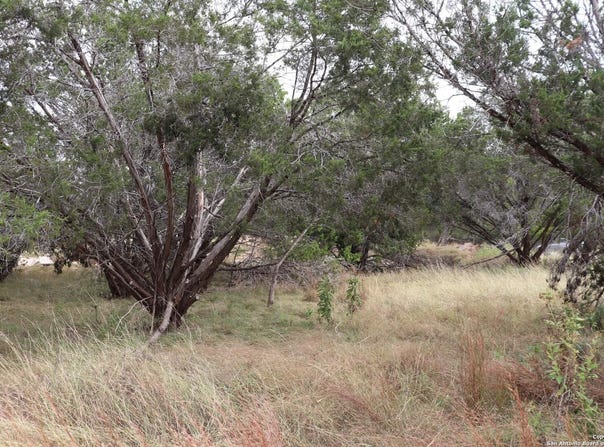 24 Quiet Meadow Cir, Wimberley, TX 78676