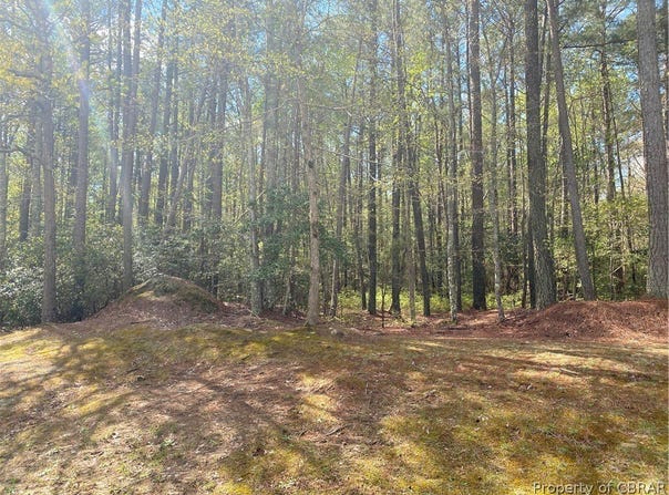 85 Eagles Trace, Lancaster, VA 22503
