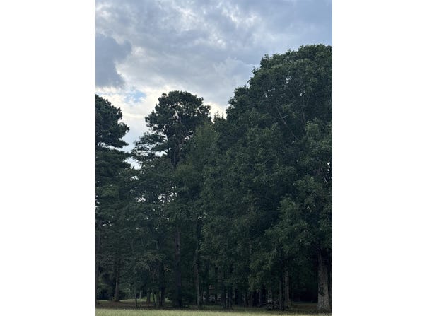 1511 Pine Street, Benton, AR 72015