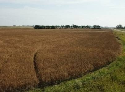 164 Ac 27th Ave. NE, Harvey, ND 58341