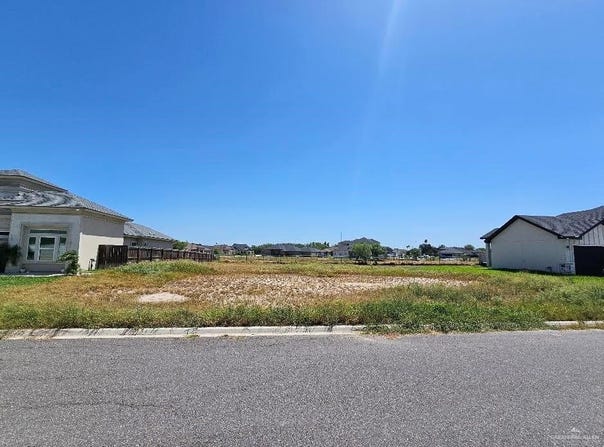 903 Platinum Street, Palmview, TX 78572