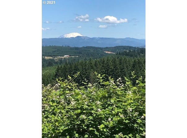 Cater E Rd, Warren, OR 97053