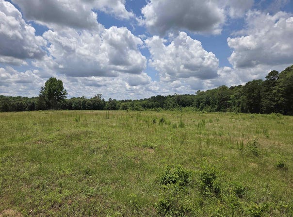 TBD Private Road 4079, Gilmer, TX 75644