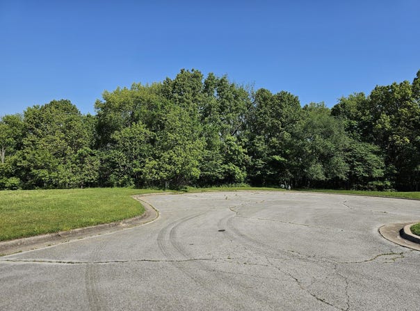 Fox Haven Drive lot: 6, Mt Vernon, MO 65712
