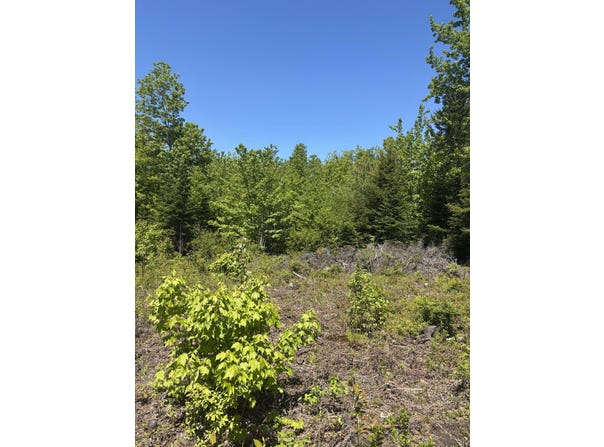 54 Poplar Lane, Hancock, ME 04640