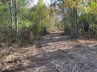 1043 Hwy 24 W, McComb, MS 39648