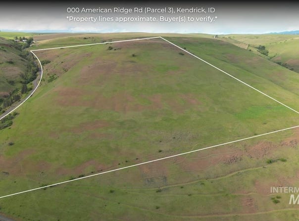 American Ridge Rd (Parcel 3), Kendrick, ID 83537