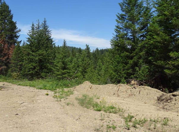 4482 Old E Springdale Rd, Loon Lake, WA 99148-5141
