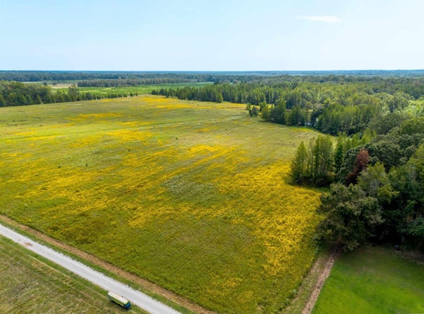 Gillham Rd., Beebe, AR 72012-0000