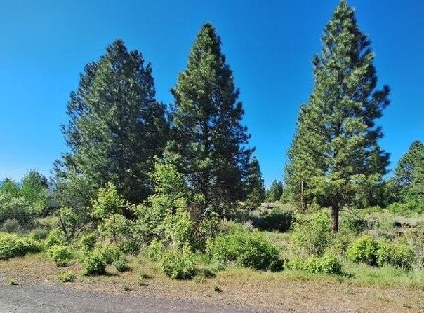 Shoreview Drive, Chiloquin, OR 97624
