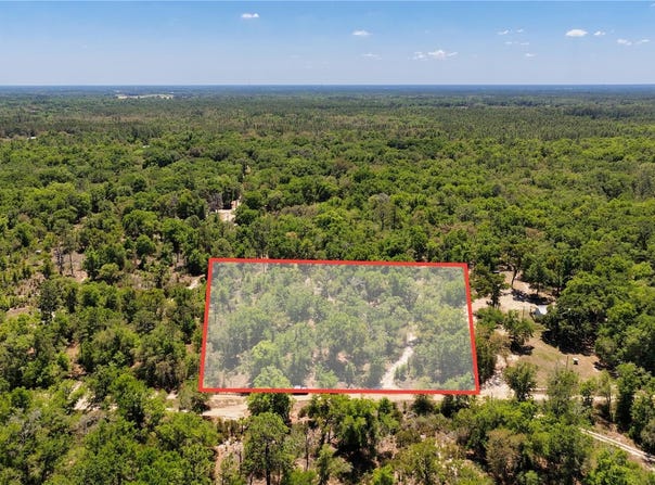 2 NE 125TH Street, BRONSON, FL 32621