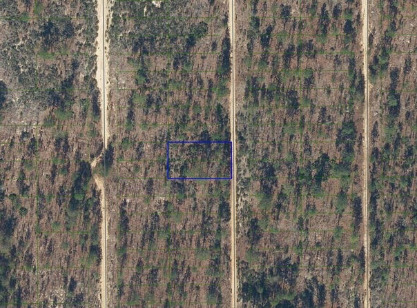 423 Dothan St, Interlachen, FL 32148