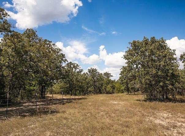 TBD FM 180 Road, Ledbetter, TX 78946