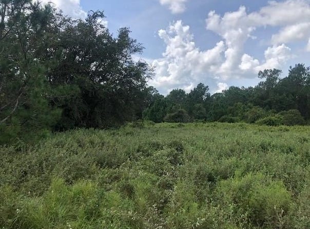 Old Grade Road, FL 33868