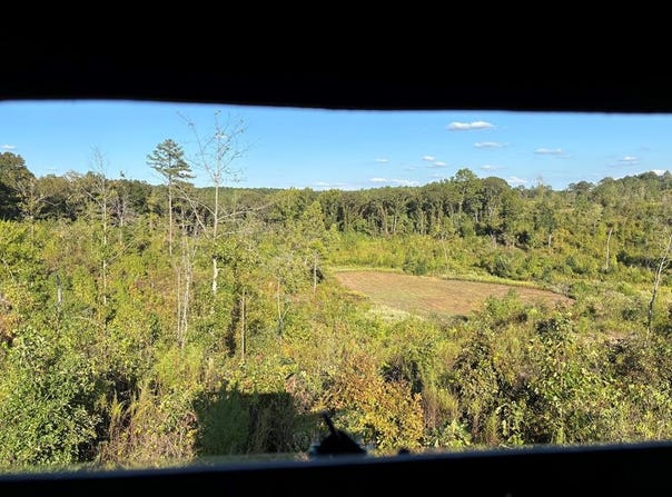 CR 115, WATER VALLEY, MS 38965