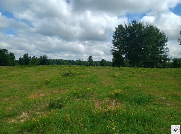 TRACT 7 HWY 990, Simms, TX 75574