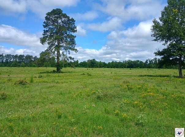 TRACT 9 HWY 990, Simms, TX 75574