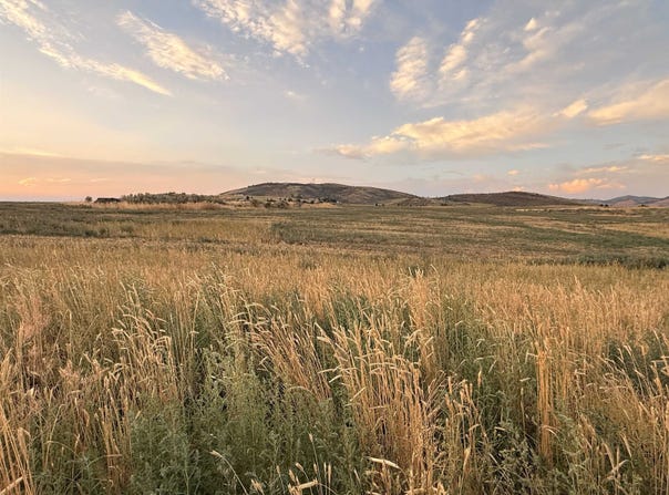 Lakey Loop Lot 20, Blk 2 (Phase 1), Soda Springs, ID 83276