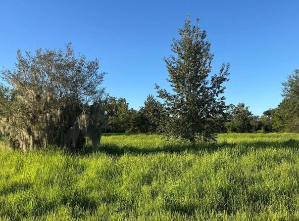 11022 NW 38TH DRIVE, Jasper, FL 32052