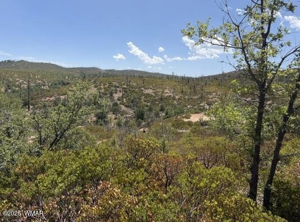 912 Geronimo Lane, Show Low, AZ 85901