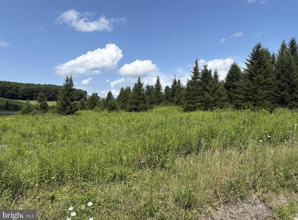 BLOCHER Road, FROSTBURG, MD 21532