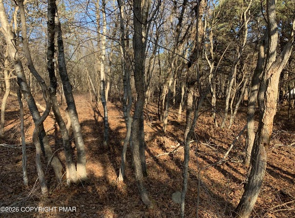 Chippewa Trail, Albrightsville, PA 18210
