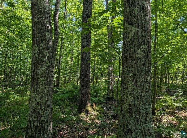 Cherryville Rd, Ashland, WI 54806